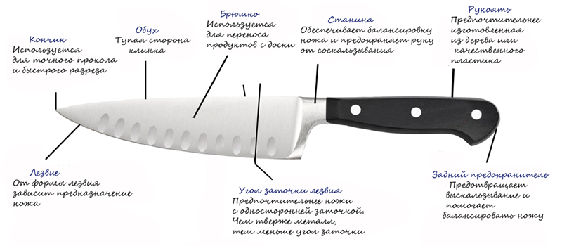 Выбираем кухонный нож. Составные части кухонного ножа