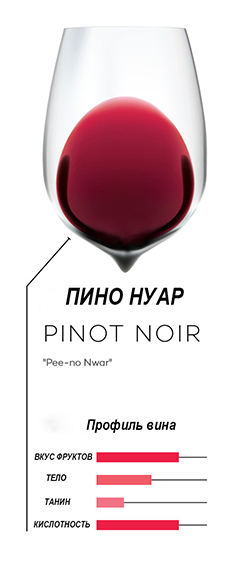 Как выбрать вино. Пино Нуар
