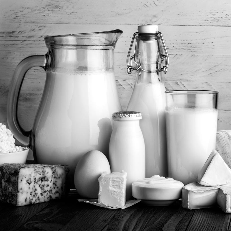 Вредно ли молоко. Молочные продукты