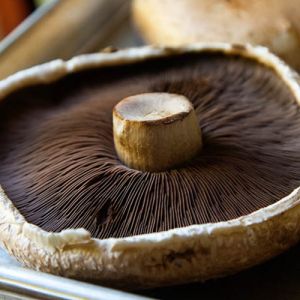 Май – грибы Портобелло