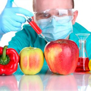 Влияние ГМО на организм человека